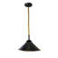 Peninsula 1 - Light Black Single Pendant