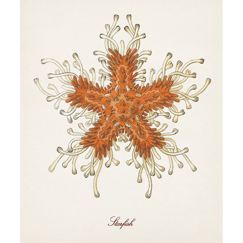 Nautical Art III Print by Sofia Fox, Matte, 35" H x 30" W x 1.5" D
