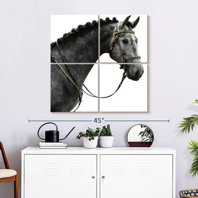Brampt Gray Spanish Horse