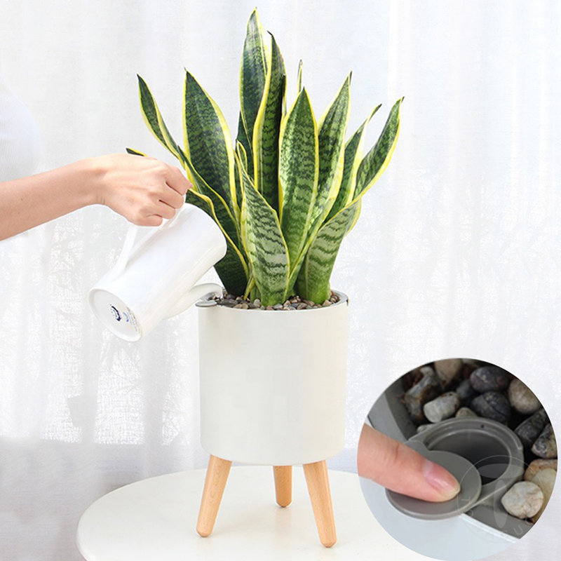 Wood Plant Pot