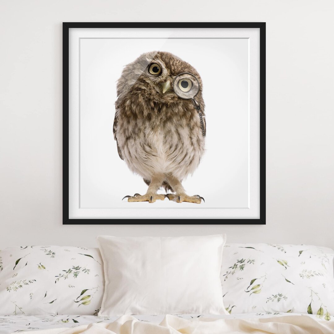 Gerahmtes Poster Curious Owl