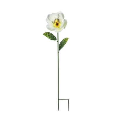 Grand magnolia de jardin