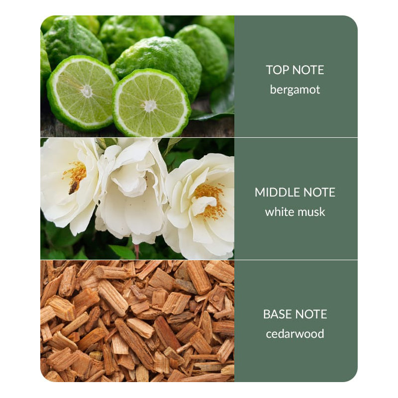 Bamboo Everyday Musk Room Sprays