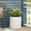 MGO PLANTER-778800782