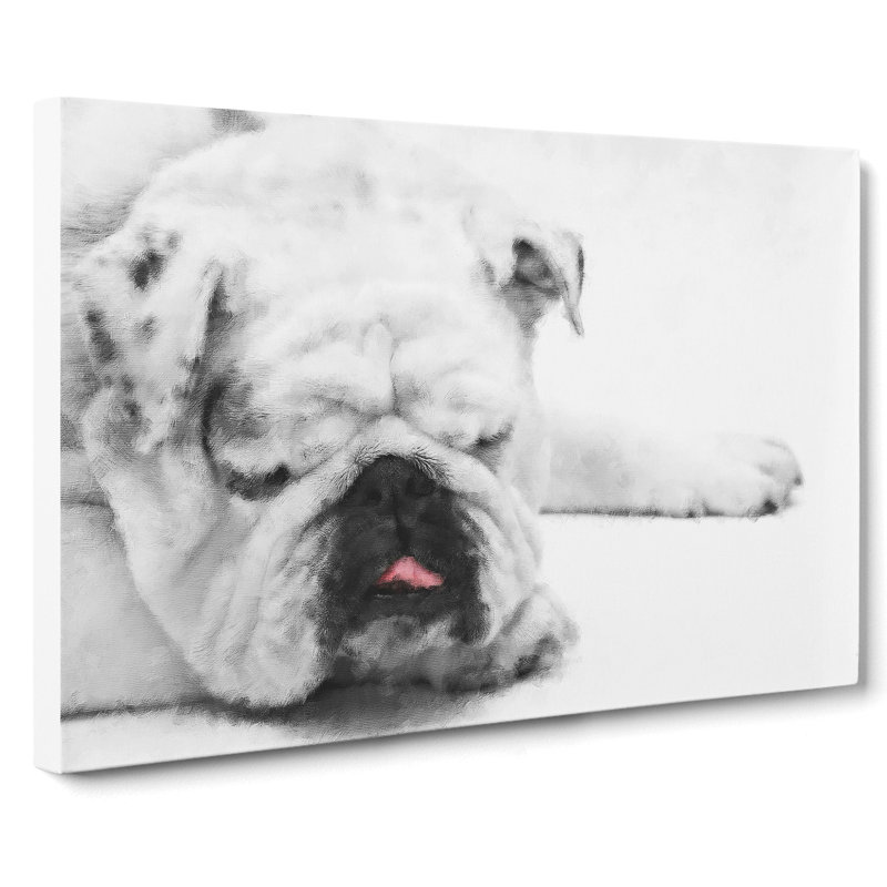 White British Bulldog Vol.2 - Wrapped Canvas Print, 50cm H x 76cm W x 3cm D