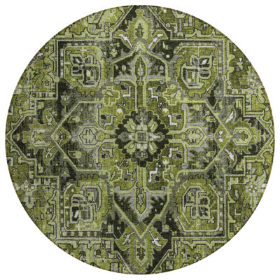Washable Oriental Indoor / Outdoor Rug