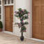 180cm Faux Bonsai Plant in Fabric；Plastic Freestanding
