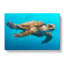 Swimming Sea Turtle In Abstract - Wrapped Canvas-55336958