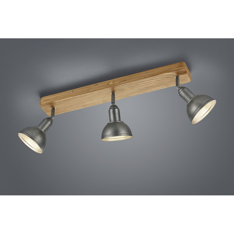 Garza Ceiling Spotlight