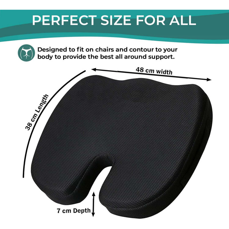 Brayden Studio Seat Cushion