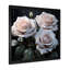 «White and Green Classic Rose Reson - Roses», art mural-811989919-811989905