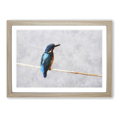 Kingfisher Bird Vol.2 - Framed Print
