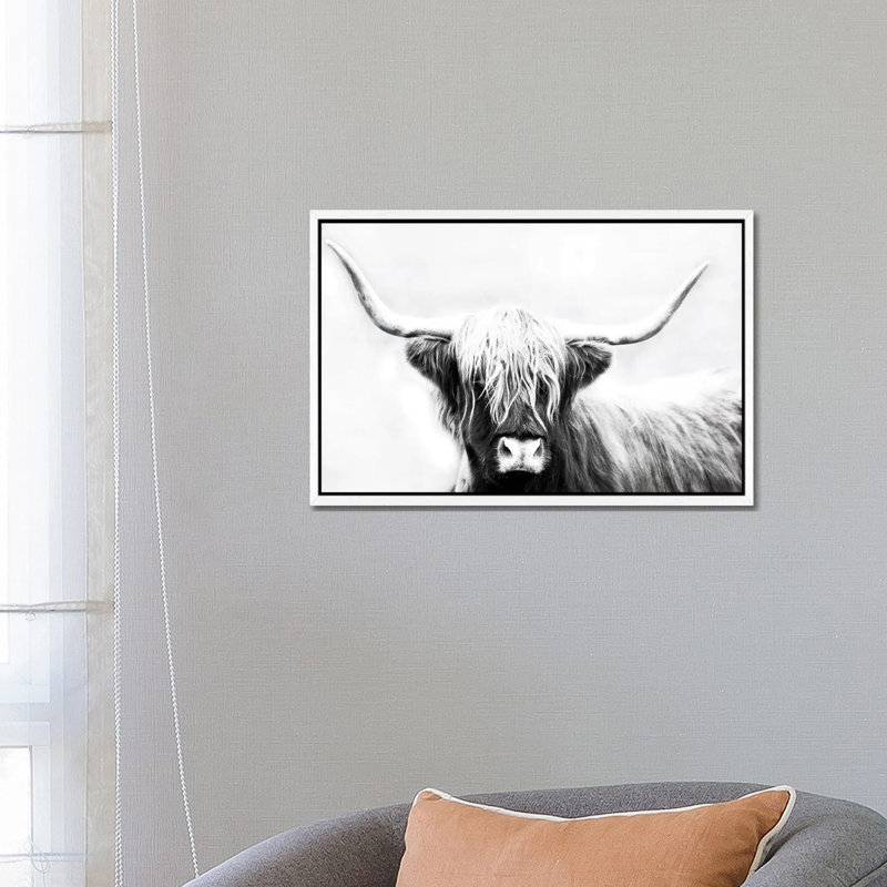 Highland Longhorn by Danita Delimont - Print on Canvas, White Framed, 66.04 cm H x 45.72 cm W