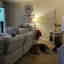 Customer photo 3 of 3