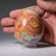 Polished Polychrome Egg From Madagascar (0.6 Lbs)-103622241-103622242