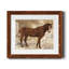 Cheval occidental I - cadre photo-1547326365-1547326356