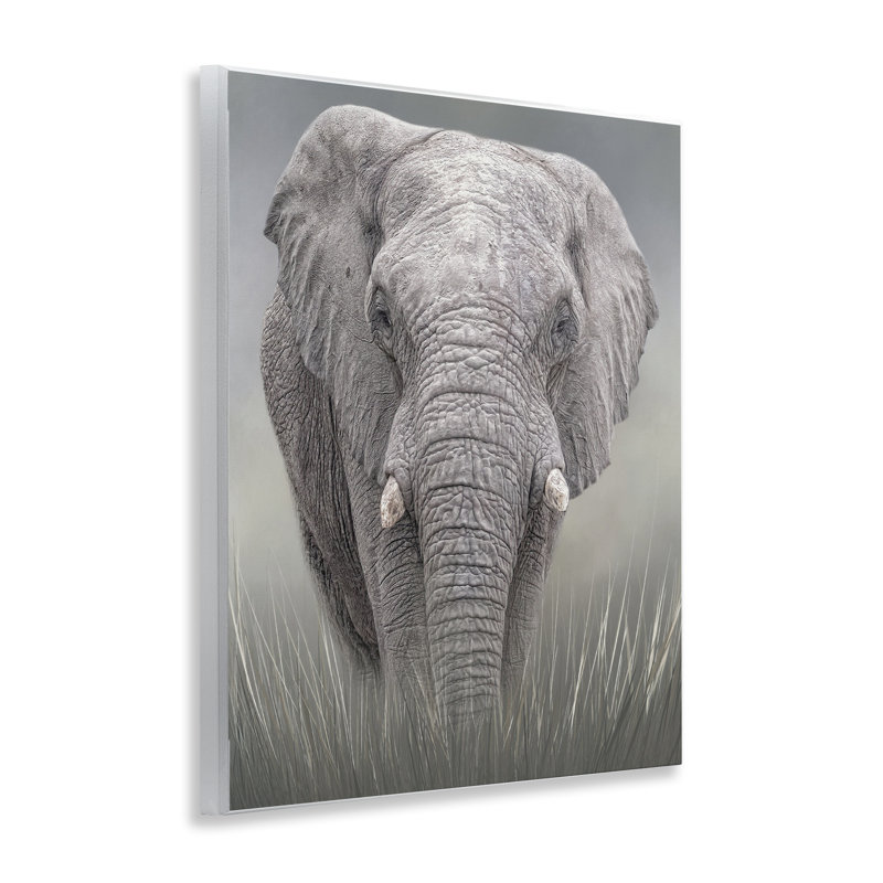Plaque murale gracieuse éléphant Titan, design par Kelley Parker