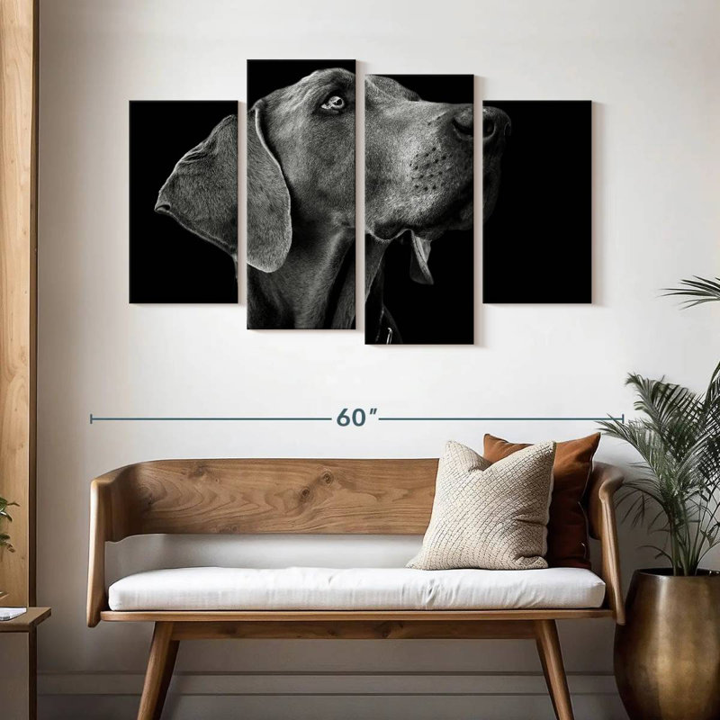 Chien monochrome