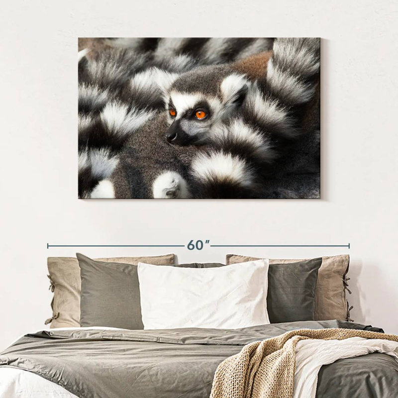 Crowle Ring-Tailed Lemur, 32" H x 48" W