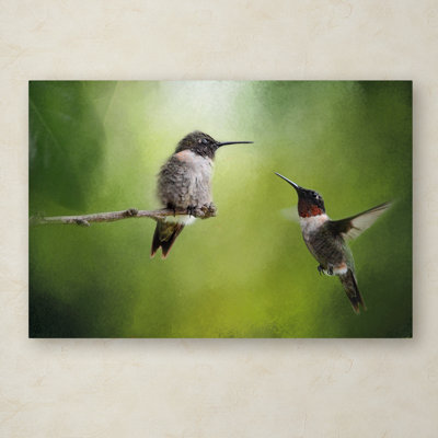 «Wake Up Call Hummingbirds» de Vidur, impression sur toile tendue
