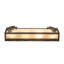 4 - Light Vanity Light