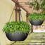 Pot à fleurs suspendu Guendalina-1530453329