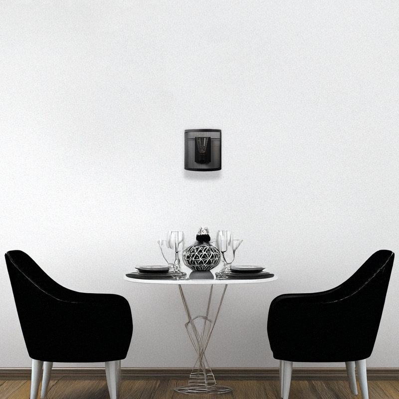 Metal Body Caged Flush Mount Wall Sconce