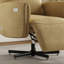Fauteuil inclinable électrique pivotant-1117885078
