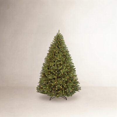 Douglas Frosted 6' Pre-Lit Fir Christmas Tree