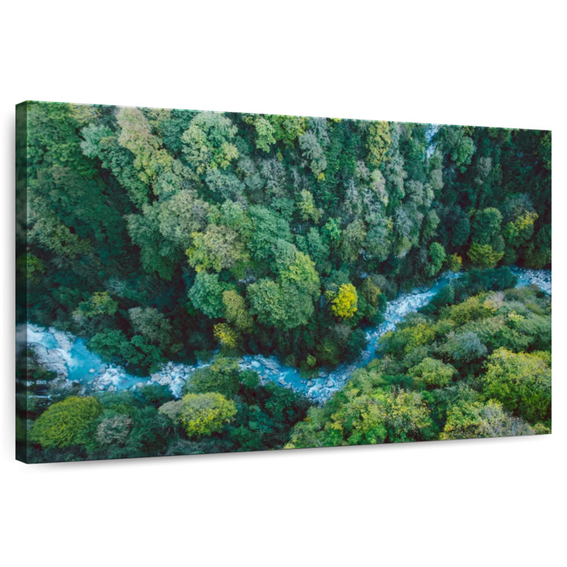 Alvord Georgia Forest River