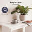 End Table-171129097