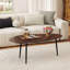 Table basse ovale en métal robuste avec design compact, canapé rétro en noyer-129225803