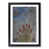 Black Framed selected