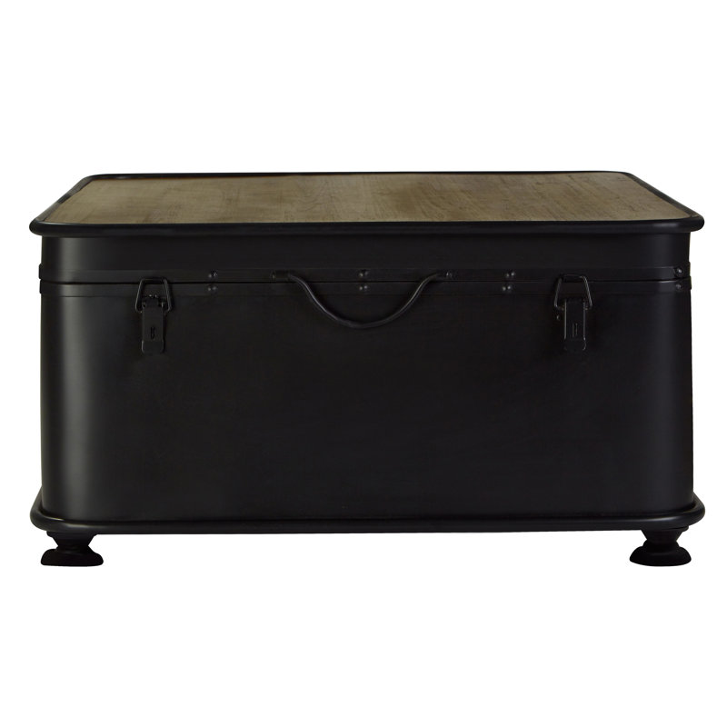 Shorney Accent Trunk