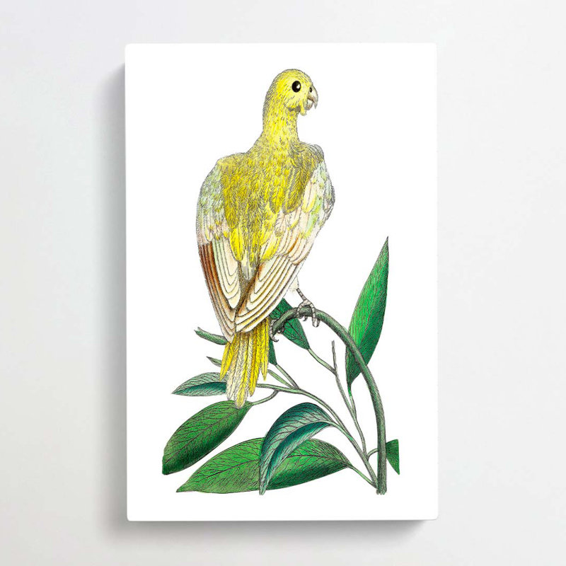 Yellow Parakeet by George Shaw - Wrapped Canvas, 50cm H x 35cm W x 3cm D