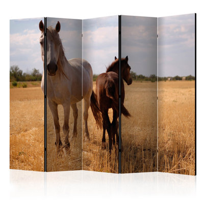225cm W x 172cm H 5 - Panel  One Sided Room Divider Folding Room Divider