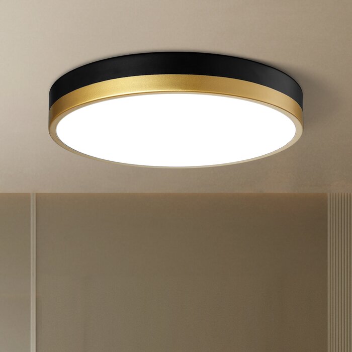 Wrought Studio Hopeland Acrylic LED Flush Mount & Reviews | Wayfair