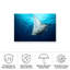 «Manta Fly on Canvas» par Roberto Marchegiani, reproduction-1387926576