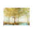 Toile tendue