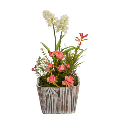Mixed Arrangement in Pot