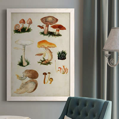 Mushroom Species IV, peinture sur toile encadrée