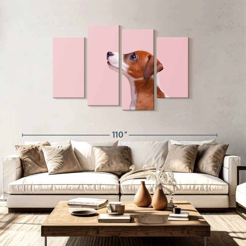 Jack Russel Brampt, H 48 po x l 75 po
