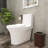 TCYO GPF Elongated One-Piece Toilet (Seat Included)