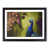 Black Framed selected