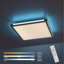 Flush Mounted Ceiling Light Single Flame-69308618