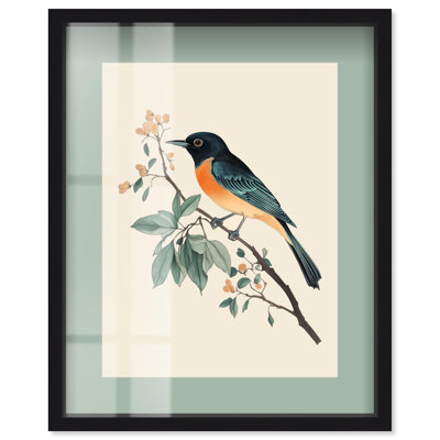 Orchard Oriole Shadowbox Print Botanical Art by Art Remedy