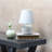 Amishi Ceramic Table Lamp-1680605425-1653158600