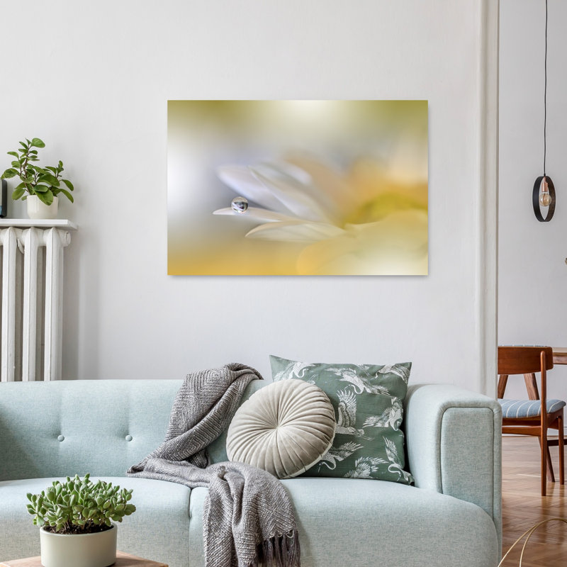 Morning Dewdrop Daisy Delicate Ethereal Serene Daisy Flower Nature Wall Art Print 1 Piece Wrapped Canvas Wall Art