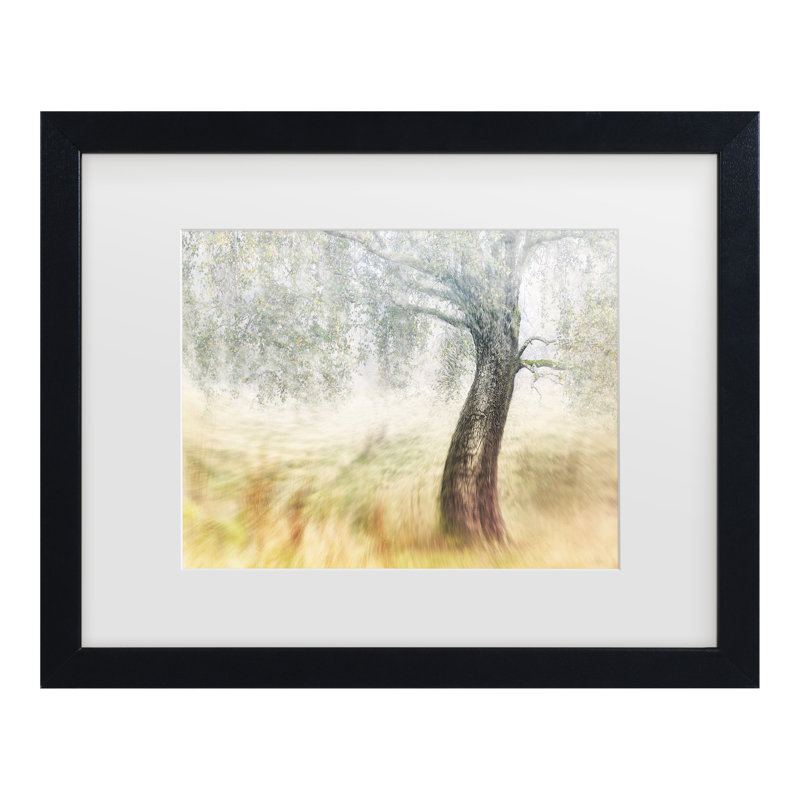 Bolog Gustav Davidsson Twisted Dream Matted Framed Art