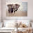 Brampt Young Savanna Elephant-108692511